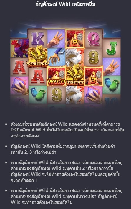 Rooster Rumble PG Slot1234 KNG368 เกมไหนแตกดี