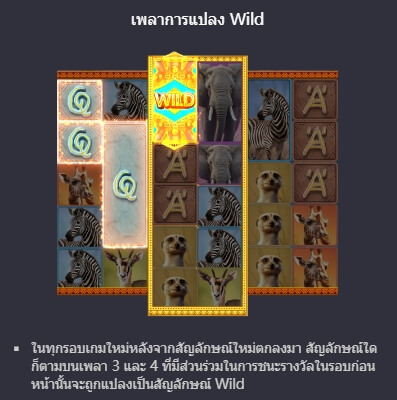 Saeari Wilds PG Slot1234 KNG368 เกมไหนแตกดี