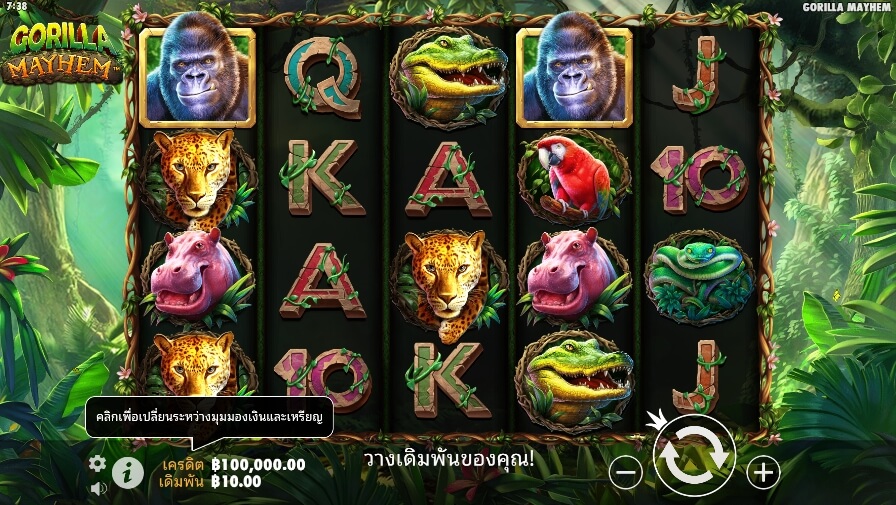 Gorilla Mayhem จาก เว็บเกมสล็อต Pramatic Play KNG368 สล็อต เครดิตฟรี