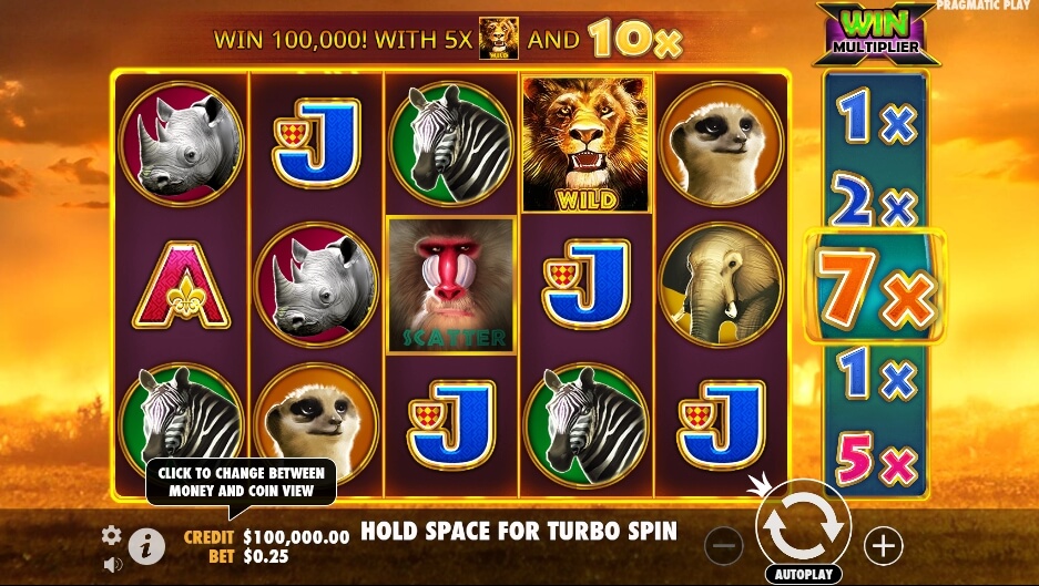 Hot Safari จาก เว็บเกมสล็อต Pramatic Play KNG368 เกมสล็อต เว็บตรง