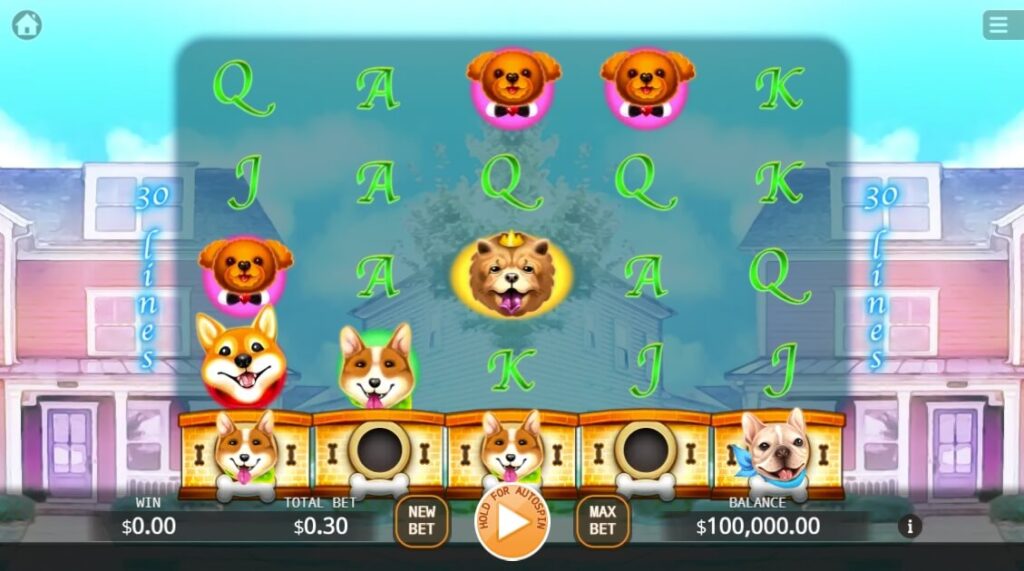 Who Let the Dogs Out ค่าย Ka-gaming จาก kng เว็บตรง ไม่ผ่านเอเย่นต์