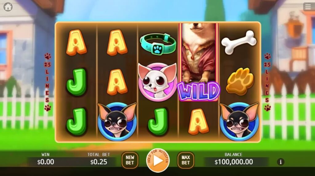 Chihuahua Party ค่าย Ka-gaming จาก kng สล็อตเว็บตรง ไม่ผ่านเอเย่นต์ ไม่มีขั้นต่ำ