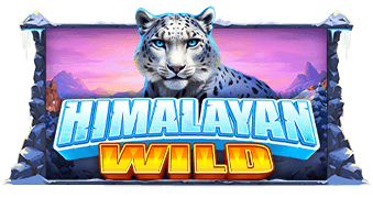 Himalayan Wild เว็บเกมสล็อต Pramatic Play KNG368 สล็อตแตก