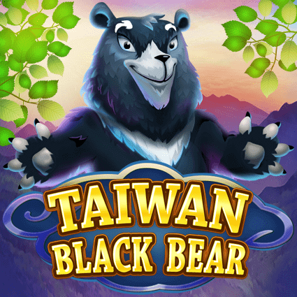 Taiwan Black Bear ค่าย Relax Gaming จากเว็บ สล็อตออนไลน์