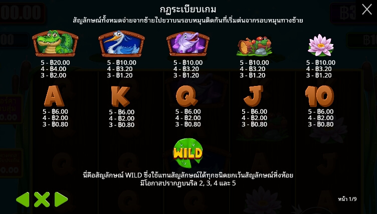 Tiny Toads เว็บเกมสล็อต Pramatic Play KNG368 สล็อต 888 เว็บตรง
