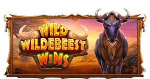 Wild Wildebeest Wins เว็บเกมสล็อต Pramatic Play KNG368 สล็อต 777