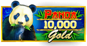 Panda Gold Scratchcard เว็บเกมสล็อต Pramatic Play KNG368 เว็บสล็อต เว็บตรง ค่ายใหญ่