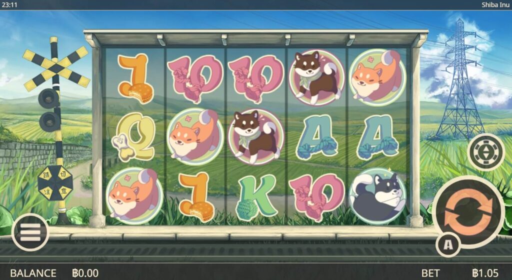 Shiba Inu ค่าย Askmeplay เว็บ Kng368 สล็อต 789