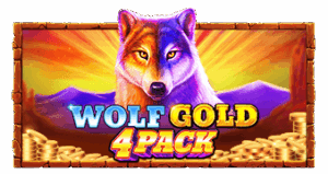 Wolf Gold 4 Pack ค่าย Pramatic Play จาก kng สล็อตแตก